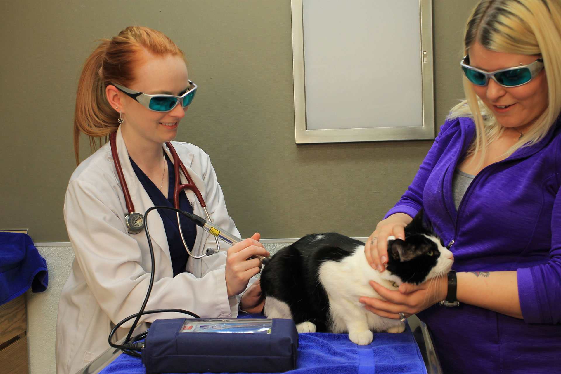 Laser Therapy  Brookfield, WI 